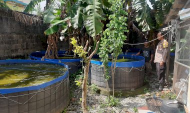 Bhabinkamtibmas-Desa-Kureksari-Semangati-Warga-Budidaya-Lele-di-Lahan-Kosong